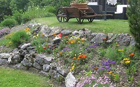 Bed&Breakfast aux Enges