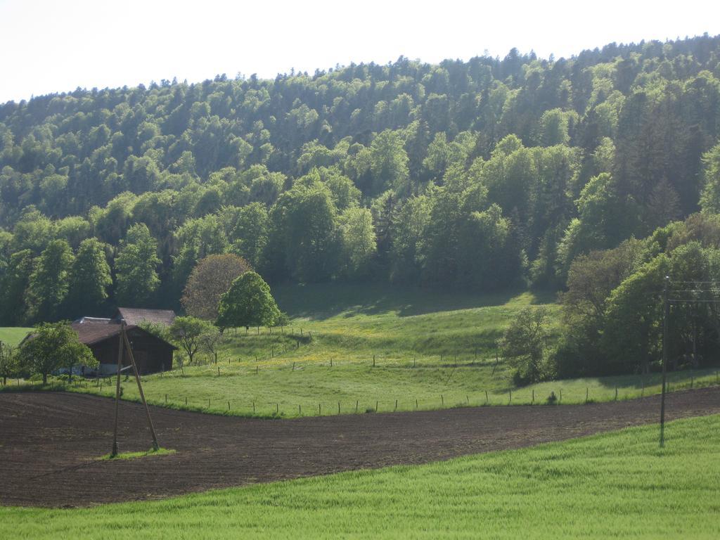 Bed&Breakfast aux Enges Exterior foto